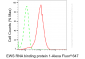 KD-Validated Anti-EWS RNA Binding Protein 1 Rabbit Monoclonal Antibody